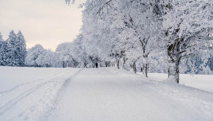 paesaggio innevato