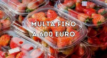 Dove si buttano le vaschette di frutta e verdura? Lo sanno in pochi: ti becchi la multa