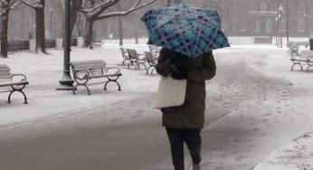 Ritorna la dama bianca in Italia, questa regione sarà cosparsa di neve