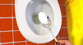 WC bianco come la neve se lo lasci agire tutta la notte: più forte della candeggina