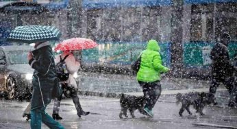 Maltempo diffuso in tutta Italia: esondazioni, frane e mareggiate