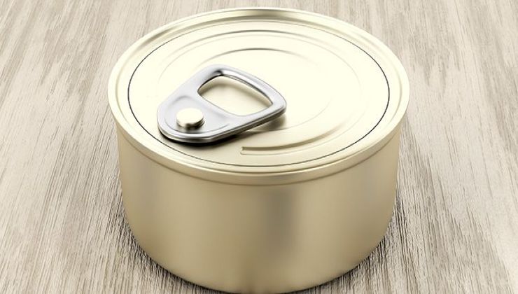 Ne jetez plus les boîtes de thon, elles valent de l'or à la maison :  comment les réutiliser - haustiersos