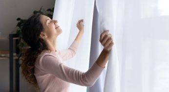 Questa profumatissima pianta purifica tutta l’aria in casa e aiuta a dormire
