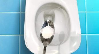 Versane giusto un pizzico nel WC prima di andare a letto, al mattino dopo brilla tutto