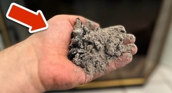 Ecco perché a fine febbraio iniziano in tanti a spargere la cenere sulle finestre di casa