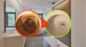 Sanitari anneriti, come sbiancarli in 5 minuti senza candeggina: la soluzione naturale