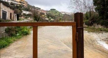 Maltempo in Sicilia, campi allagati e danni alle colture