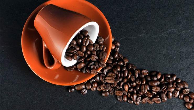 caratteristiche del caffè