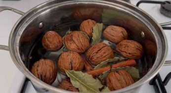 Butta le noci con foglie di alloro in pentola: cosa accade 5 minuti dopo averli bolliti