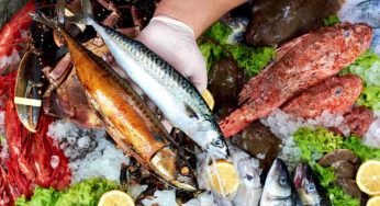 Mercurio nel pesce, ecco la classifica: quali sarebbero quelli più contaminati