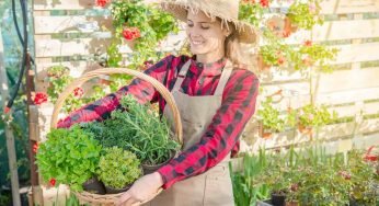 Alla scoperta della Garden Therapy