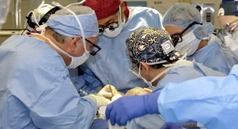 Amputato per errore il pene: la diagnosi di tumore era sbagliata