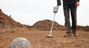 Sbucano dopo 60 milioni di anni, nessuno si aspettava di ritrovarli: la scoperta