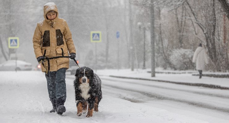 Neve in Italia