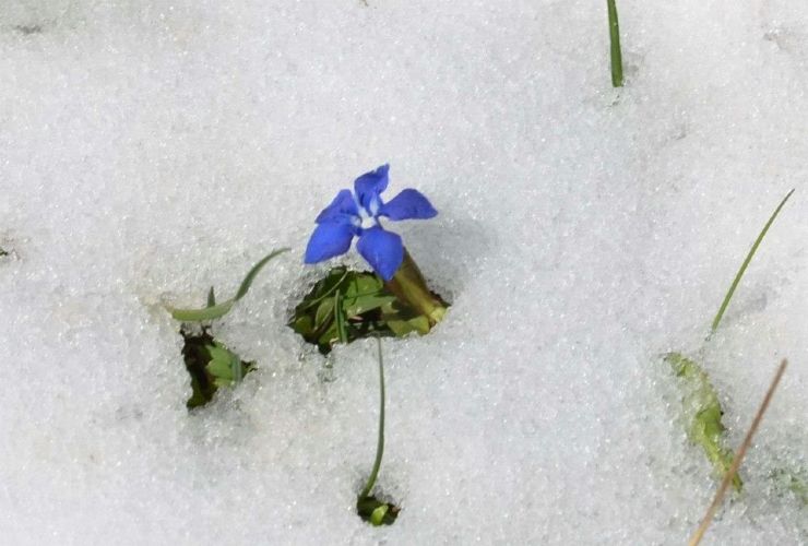 Italia, primavera in ritardo per queste regioni