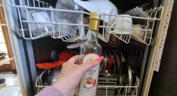 Una goccia di aceto di mele in lavastoviglie: sorprendente cosa accade alle posate