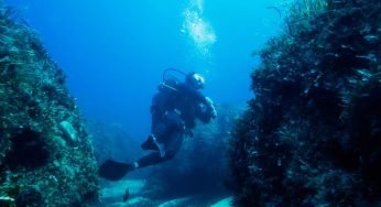 Avvenuto uno straordinario ritrovamento: ecco cosa hanno fatto riaffiorare dal mare