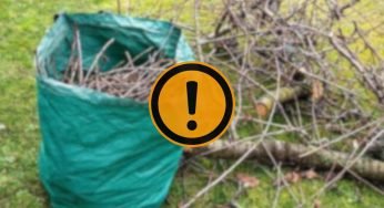Sai dove si buttano piante e rami secchi del giardino? Rischi 300 euro di multa