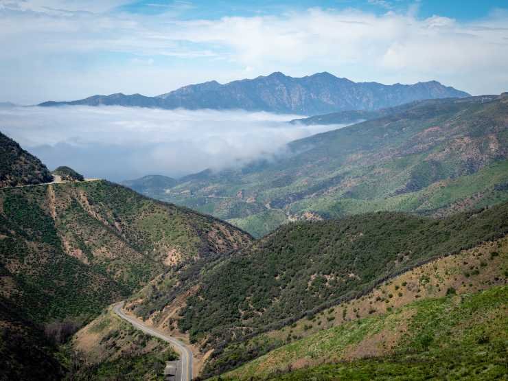 Foresta Los Padres California