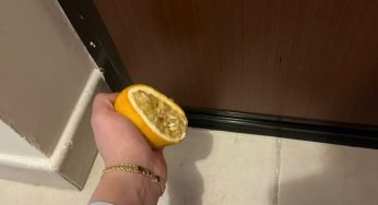 Perché a maggio spremono tutti un limone sotto la porta di casa: inaspettato