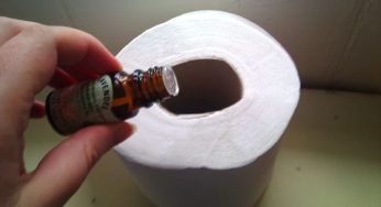 Il segreto delle imprese di pulizia giapponesi per profumare il bagno in 3 secondi