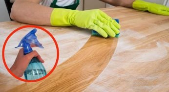 Potente spray acchiappa polvere con questi 2 ingredienti che conservi in cucina