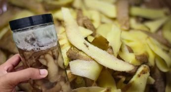 Immergi le bucce di patate in un barattolo pieno di acqua bollente: cosa succede