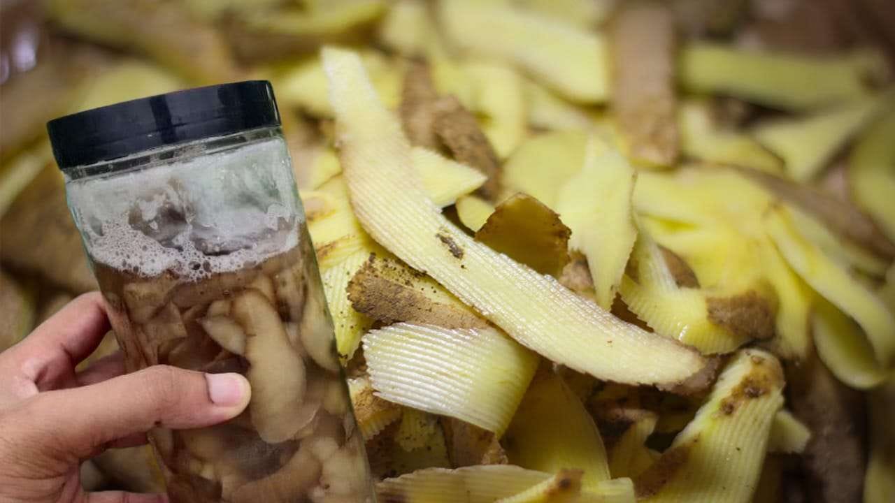 Immergi le bucce di patata in un barattolo pieno di acqua bollente