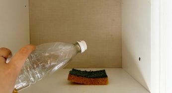 Butta una goccia di aceto nella spugna per i piatti: lo fanno anche i ristoratori