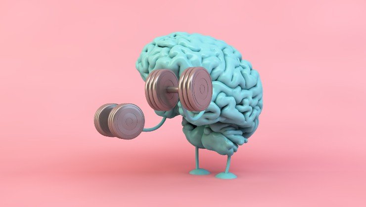 Allenare il cervello con i test visivi