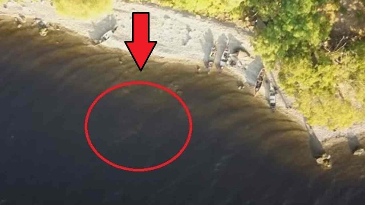Il drone filma una strana sagoma in acqua
