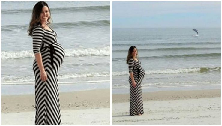 Fotografa la moglie incinta e spunta un delfino