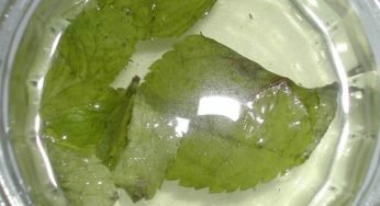 Metti 2 foglie di menta nell’alcol, ecco perché lo fanno quasi tutte le casalinghe