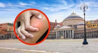Torna l’incubo calabroni asiatici in Italia, colpita proprio questa amata regione