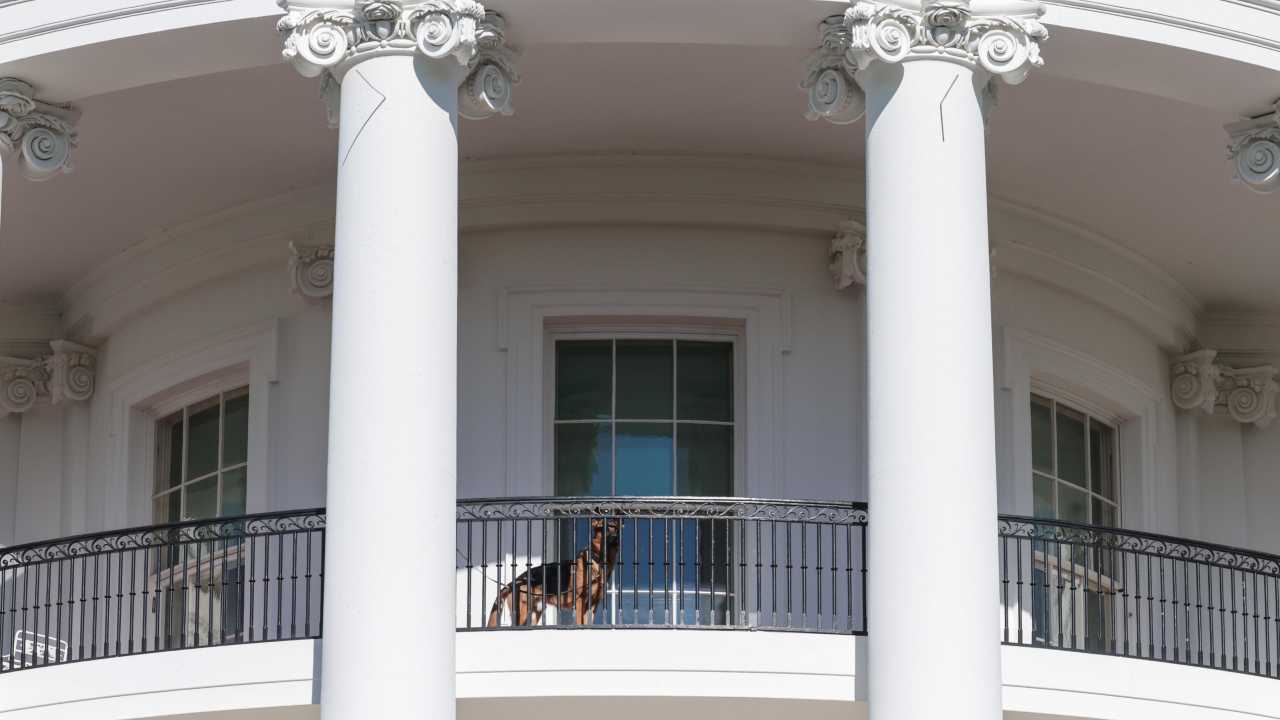 Commander sul balcone della Casa Bianca