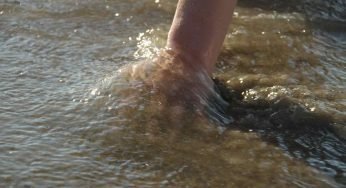 Pescatore mette la mano in acqua, quando la tira fuori accade l’inaspettato | VIDEO