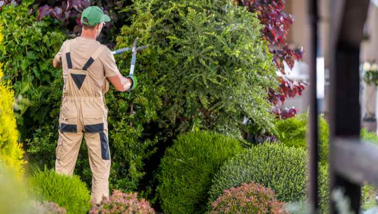 Trova uno strano oggetto in giardino