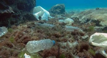 Allarme Legambiente: quasi 20mila reati ambientali nei mari italiani