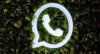 WhatsApp, la novità in arrivo per tutti questi utenti: che sorpresa