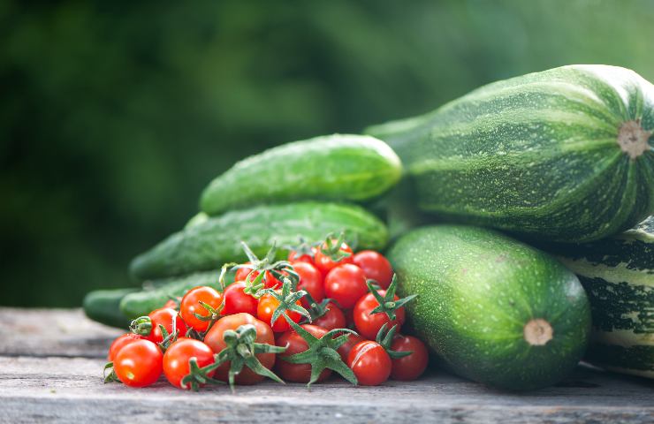 Dieta dell'estate: i 6 alimenti che idratano più dell'anguria