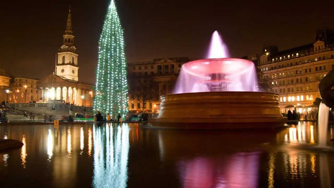 Luci Di Natale Albero